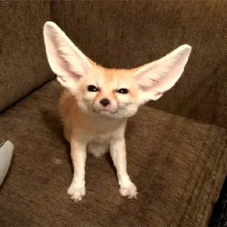 ❓