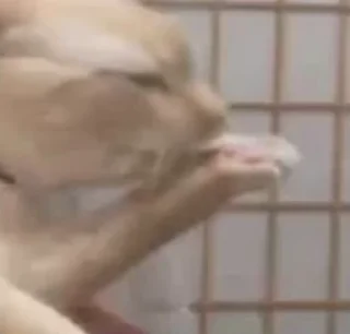 🧐