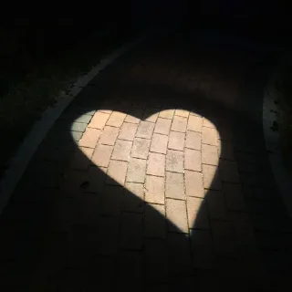 💖