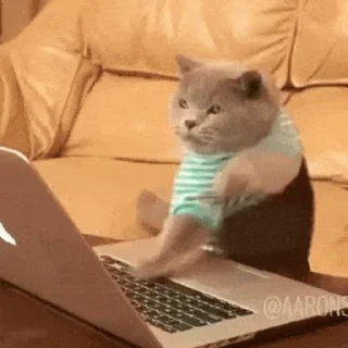 💻