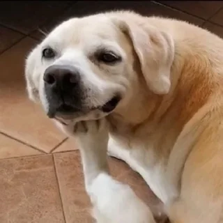 🤔
