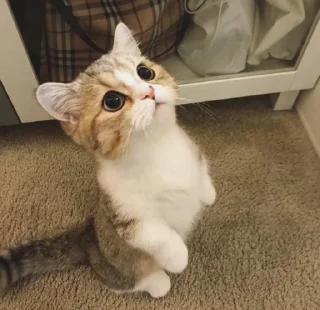 😍