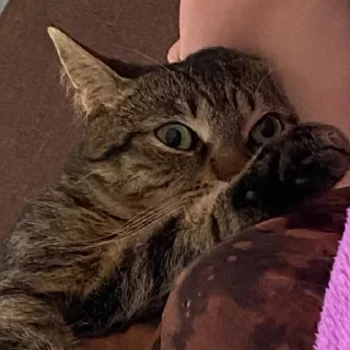 😶