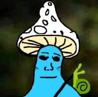 🌟