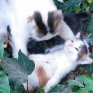 😵