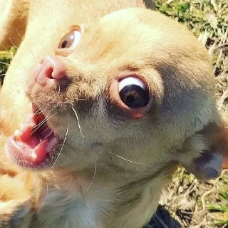 😮