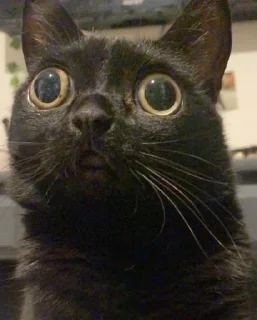 😐