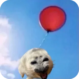 👍