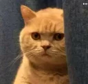 😐