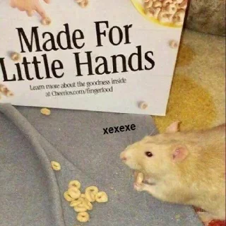 😋