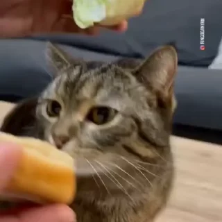 🍔