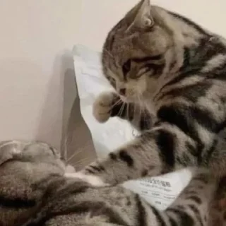 😠