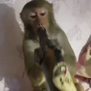 🍺