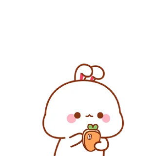 👌