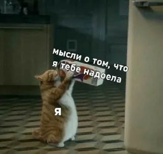 🫣