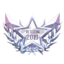 🎖️
