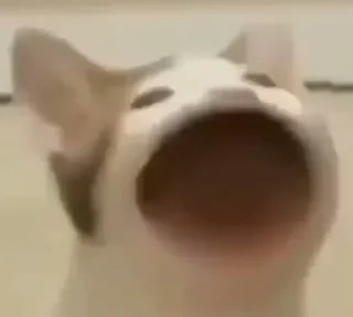 😮