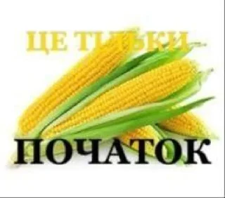 🌽
