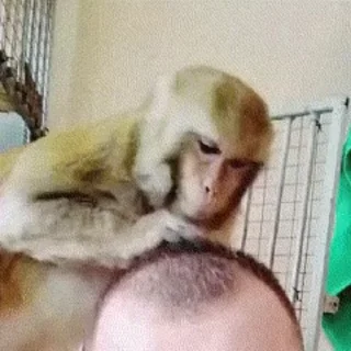 💆‍♂️