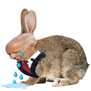 😭