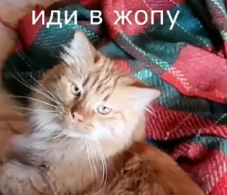 🙂