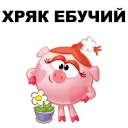 🐷