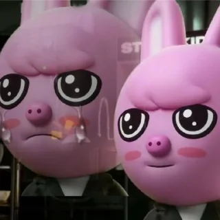 🐷