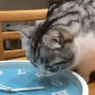 🥰