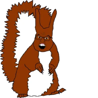 🐿