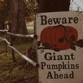 🍂