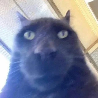 📸
