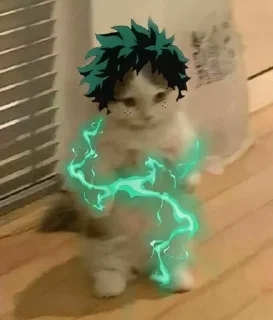 😾