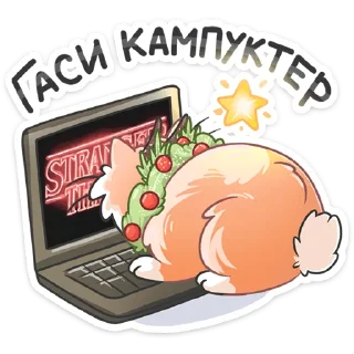 🖥
