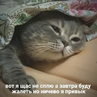 😥