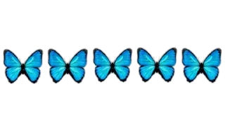 🦋