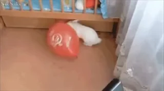 😨