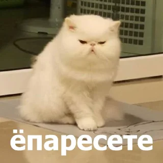 😐
