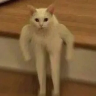💪