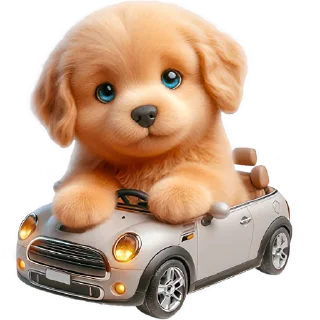🚗