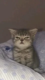 💖