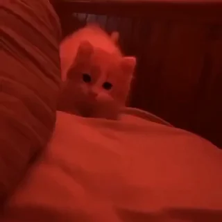 💋