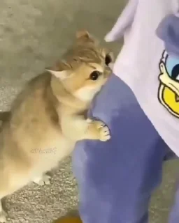 😬