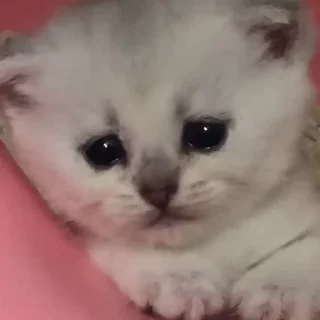 ☹️