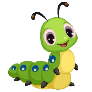 🐛
