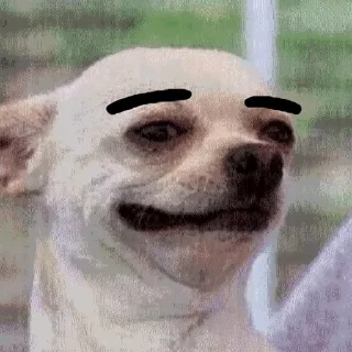 😏