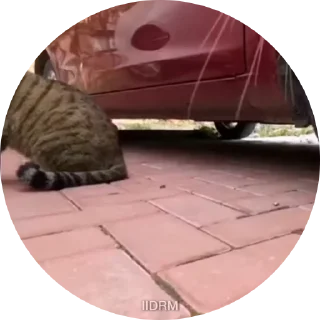😡