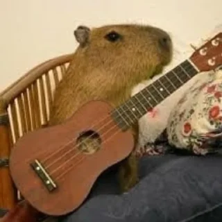 🎸