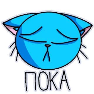 😿