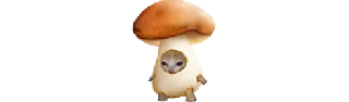 🍄