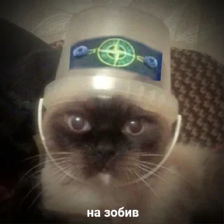 😎